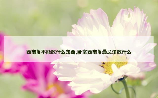 西南角不能放什么东西,卧室西南角最忌讳放什么