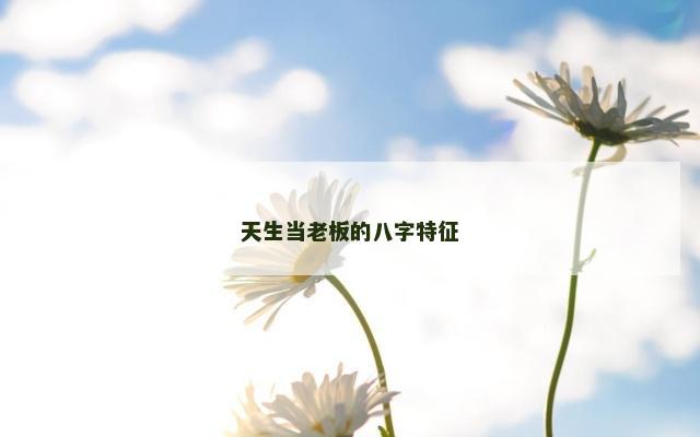 天生当老板的八字特征
