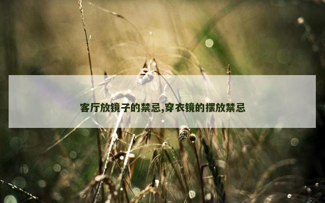 客厅放镜子的禁忌,穿衣镜的摆放禁忌