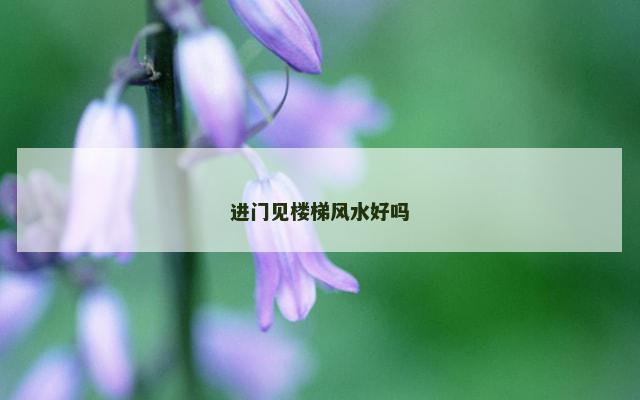 进门见楼梯风水好吗