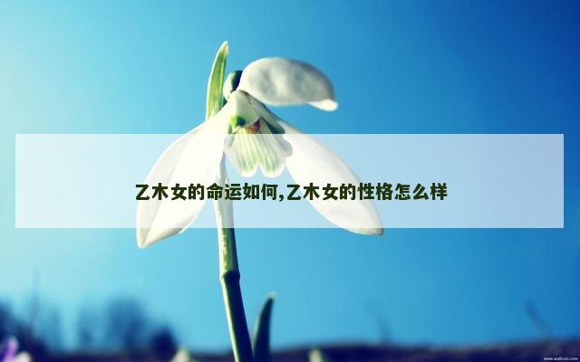乙木女的命运如何,乙木女的性格怎么样