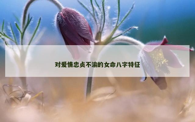 对爱情忠贞不渝的女命八字特征