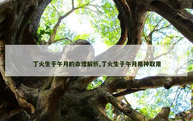 丁火生于午月的命理解析,丁火生于午月用神取用