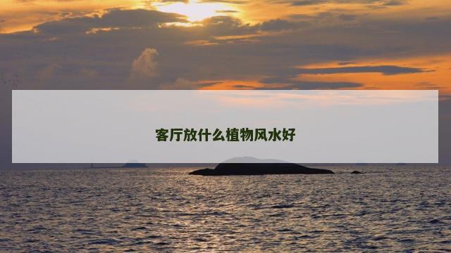 客厅放什么植物风水好