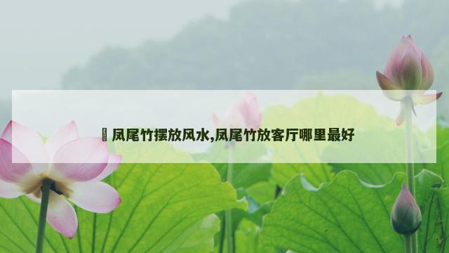 ​凤尾竹摆放风水,凤尾竹放客厅哪里最好