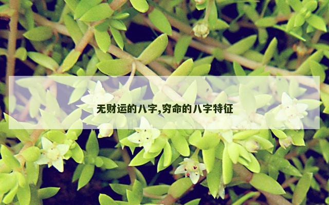 无财运的八字,穷命的八字特征