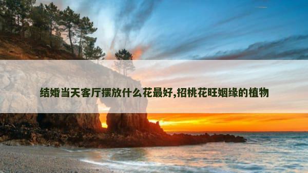 结婚当天客厅摆放什么花最好,招桃花旺姻缘的植物