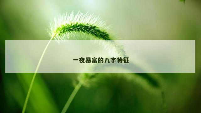 一夜暴富的八字特征