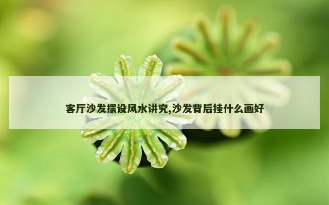客厅沙发摆设风水讲究,沙发背后挂什么画好