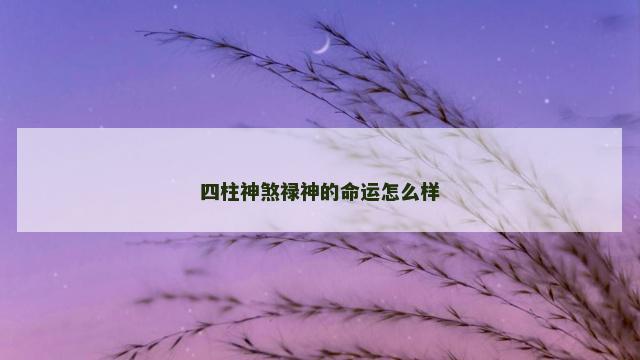 四柱神煞禄神的命运怎么样