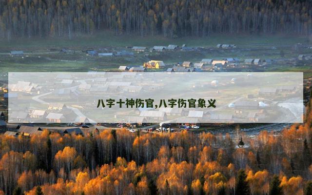 八字十神伤官,八字伤官象义