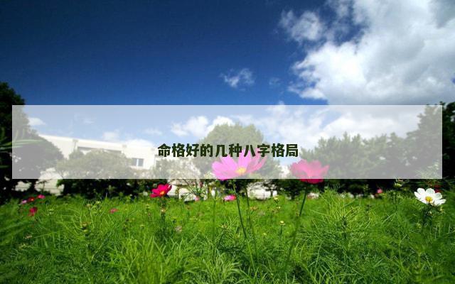 命格好的几种八字格局