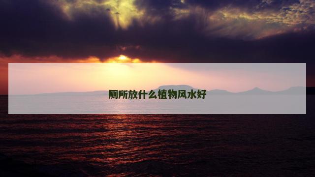 厕所放什么植物风水好