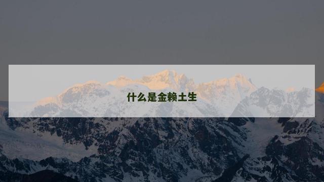 什么是金赖土生