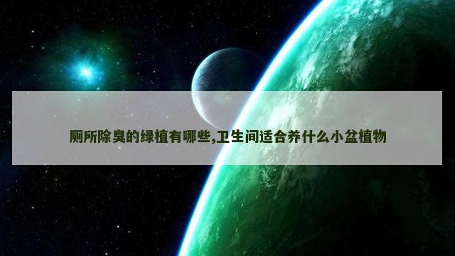 厕所除臭的绿植有哪些,卫生间适合养什么小盆植物