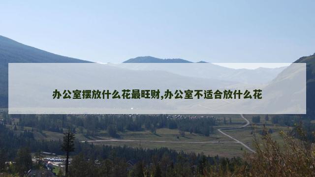 办公室摆放什么花最旺财,办公室不适合放什么花