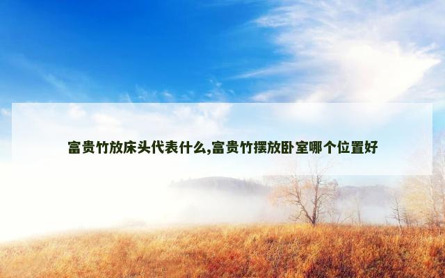 富贵竹放床头代表什么,富贵竹摆放卧室哪个位置好