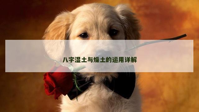 八字湿土与燥土的运用详解