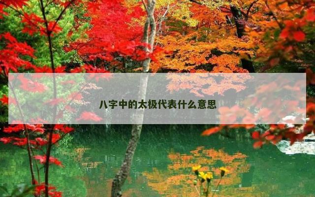 八字中的太极代表什么意思