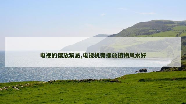 电视的摆放禁忌,电视机旁摆放植物风水好