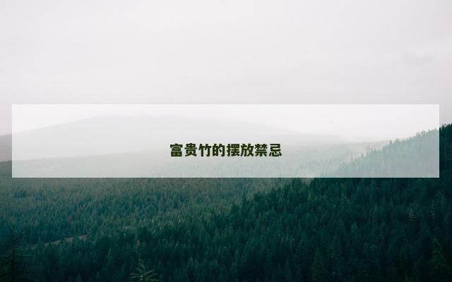 富贵竹的摆放禁忌