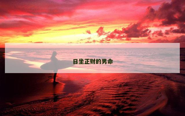 日坐正财的男命