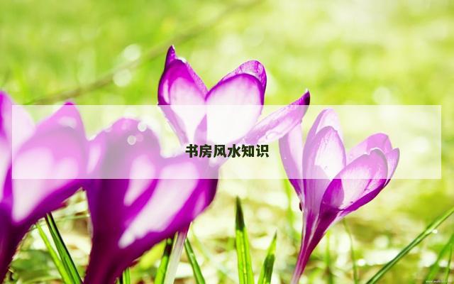 书房风水知识