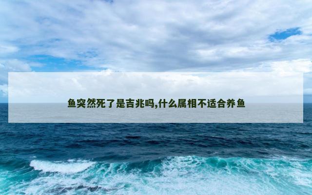 鱼突然死了是吉兆吗,什么属相不适合养鱼