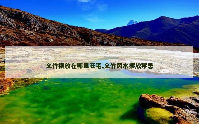 文竹摆放在哪里旺宅,文竹风水摆放禁忌