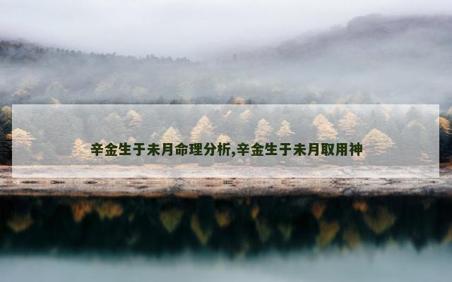 辛金生于未月命理分析,辛金生于未月取用神