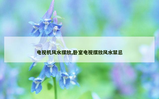 电视机风水摆放,卧室电视摆放风水禁忌