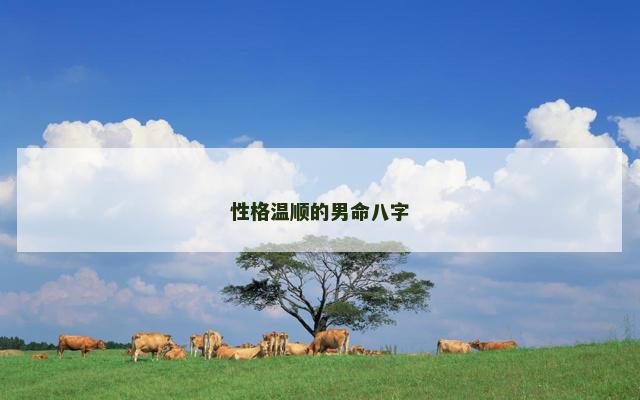 性格温顺的男命八字