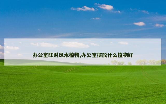 办公室旺财风水植物,办公室摆放什么植物好