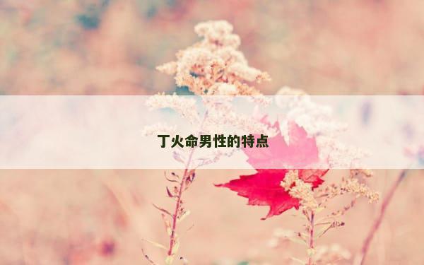 丁火命男性的特点
