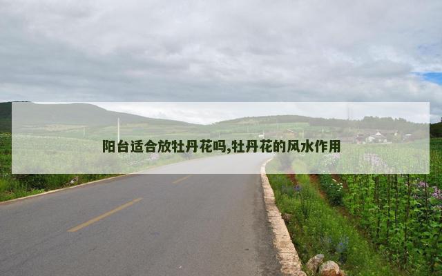 阳台适合放牡丹花吗,牡丹花的风水作用