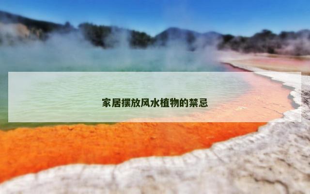 家居摆放风水植物的禁忌