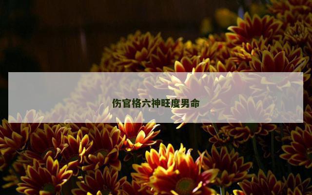 伤官格六神旺度男命