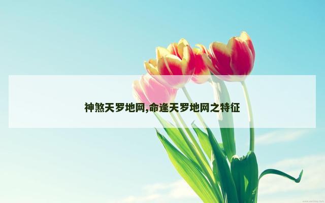 神煞天罗地网,命逢天罗地网之特征