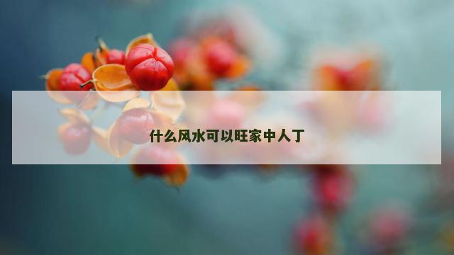 什么风水可以旺家中人丁