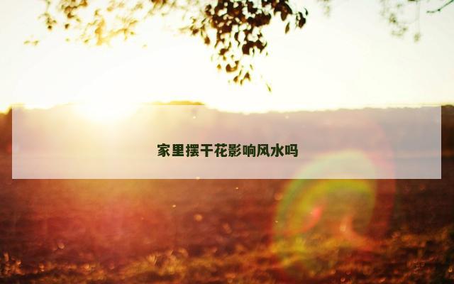 家里摆干花影响风水吗