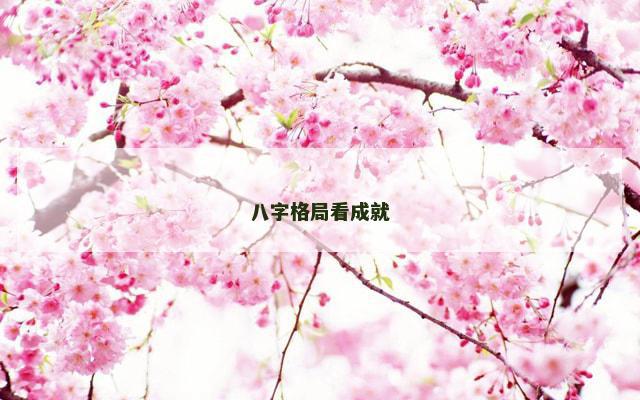 八字格局看成就