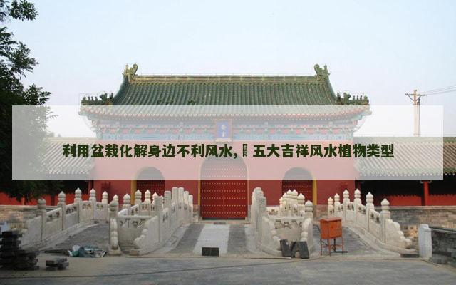 利用盆栽化解身边不利风水,​五大吉祥风水植物类型