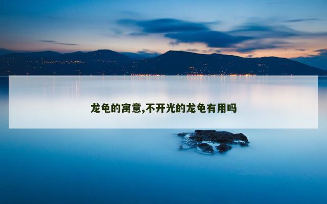 龙龟的寓意,不开光的龙龟有用吗