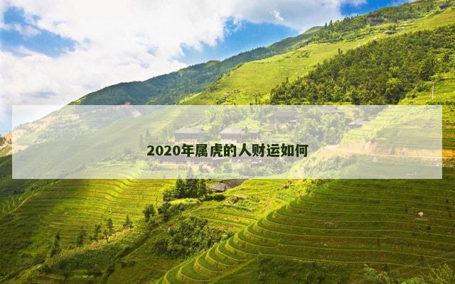 2020年属虎的人财运如何