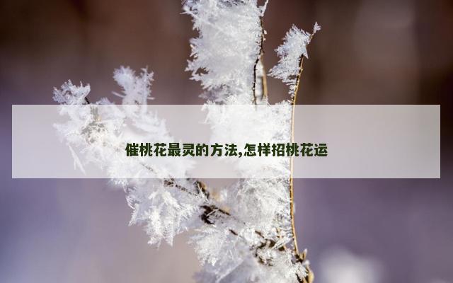 催桃花最灵的方法,怎样招桃花运
