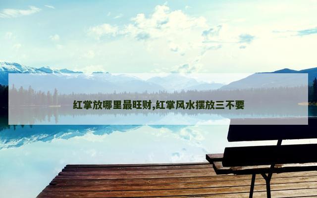 红掌放哪里最旺财,红掌风水摆放三不要