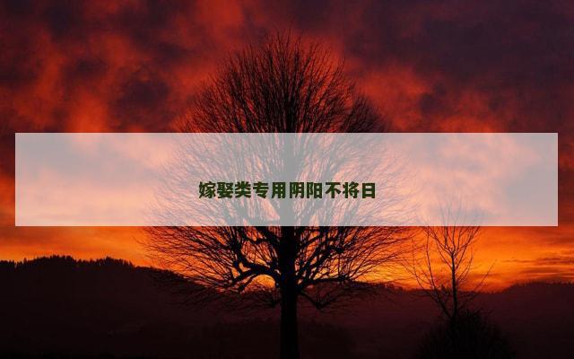 嫁娶类专用阴阳不将日