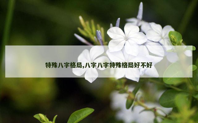特殊八字格局,八字八字特殊格局好不好