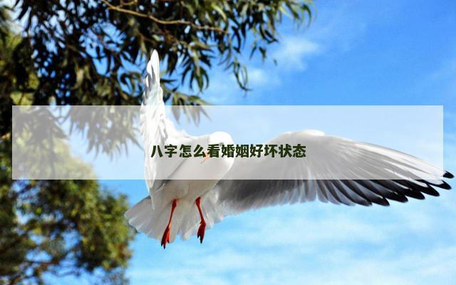 八字怎么看婚姻好坏状态