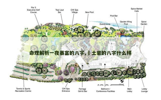 命理解析一夜暴富的八字,​土豪的八字什么样